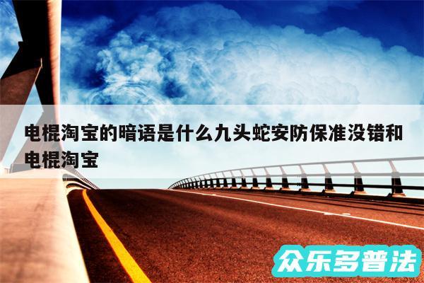 电棍淘宝的暗语是什么九头蛇安防保准没错和电棍淘宝