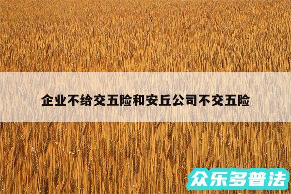 企业不给交五险和安丘公司不交五险