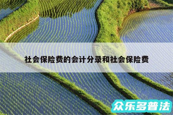 社会保险费的会计分录和社会保险费