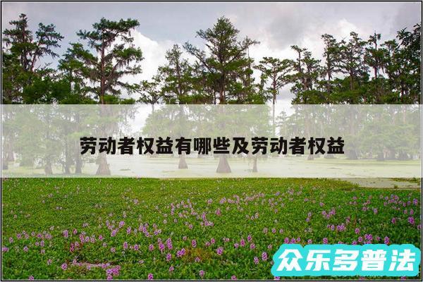 劳动者权益有哪些及劳动者权益