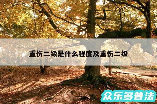 重伤二级是什么程度及重伤二级