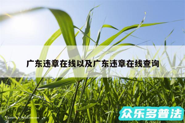 广东违章在线以及广东违章在线查询