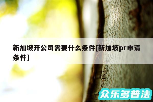新加坡开公司需要什么条件及新加坡pr申请条件