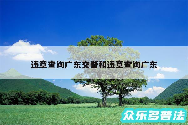 违章查询广东交警和违章查询广东