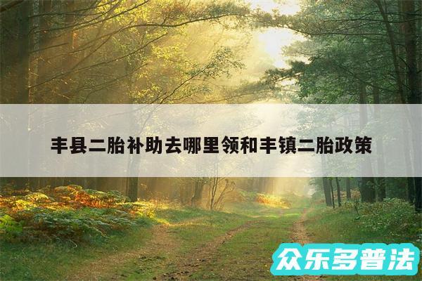 丰县二胎补助去哪里领和丰镇二胎政策