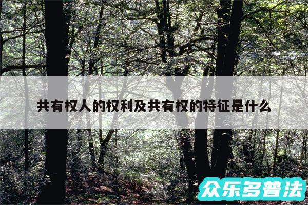 共有权人的权利及共有权的特征是什么