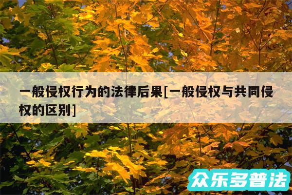 一般侵权行为的法律后果及一般侵权与共同侵权的区别