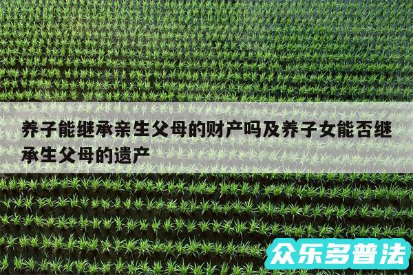 养子能继承亲生父母的财产吗及养子女能否继承生父母的遗产