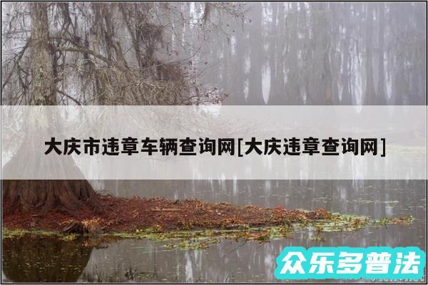 大庆市违章车辆查询网及大庆违章查询网