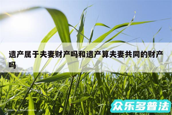 遗产属于夫妻财产吗和遗产算夫妻共同的财产吗