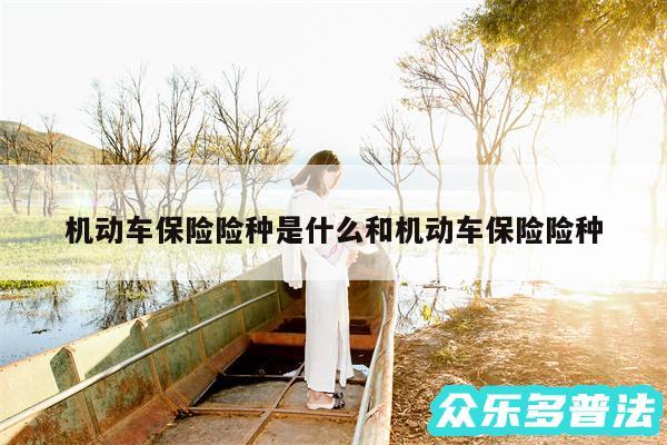 机动车保险险种是什么和机动车保险险种