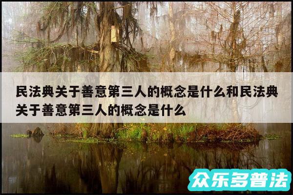 民法典关于善意第三人的概念是什么和民法典关于善意第三人的概念是什么
