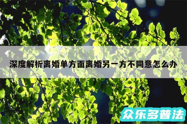 深度解析离婚单方面离婚另一方不同意怎么办