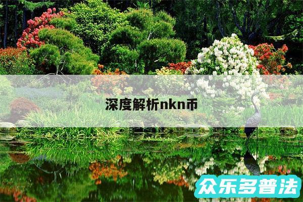 深度解析nkn币