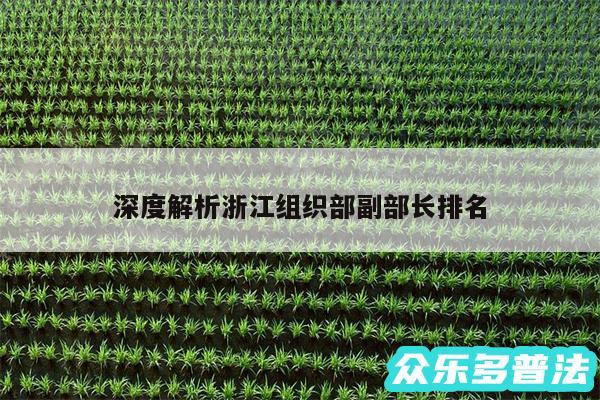 深度解析浙江组织部副部长排名
