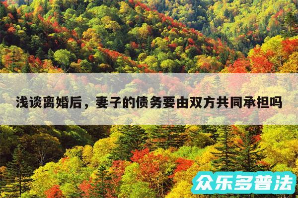 浅谈离婚后,妻子的债务要由双方共同承担吗