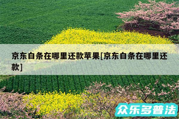 京东白条在哪里还款苹果及京东白条在哪里还款
