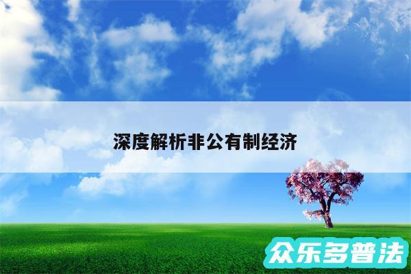深度解析非公有制经济
