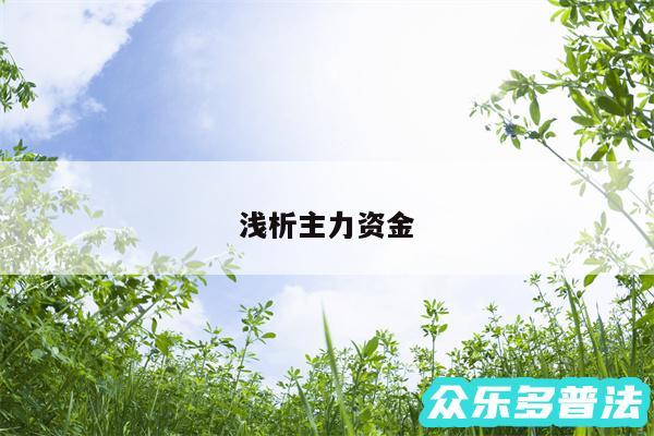 浅析主力资金