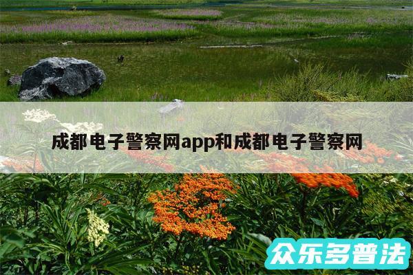 成都电子警察网app和成都电子警察网