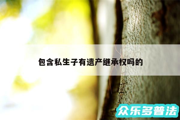 包含私生子有遗产继承权吗的