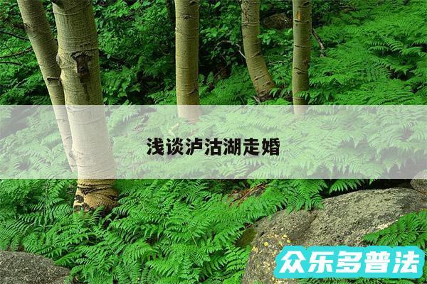 浅谈泸沽湖走婚