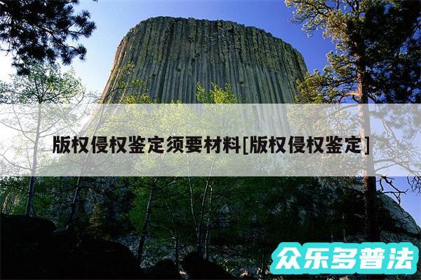 版权侵权鉴定须要材料及版权侵权鉴定