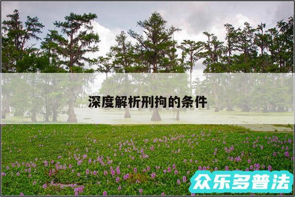 深度解析刑拘的条件