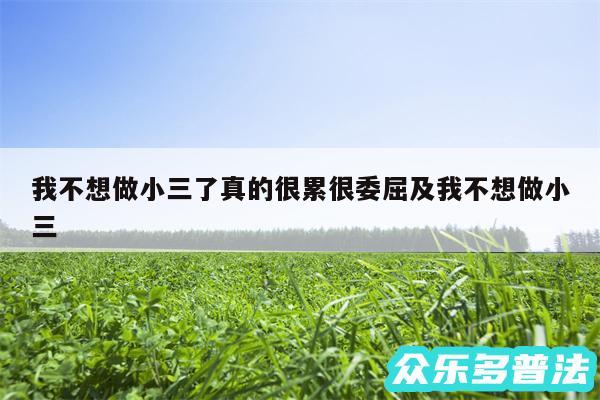 我不想做小三了真的很累很委屈及我不想做小三