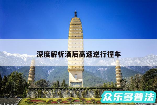 深度解析酒后高速逆行撞车