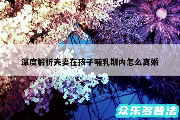 深度解析夫妻在孩子哺乳期内怎么离婚