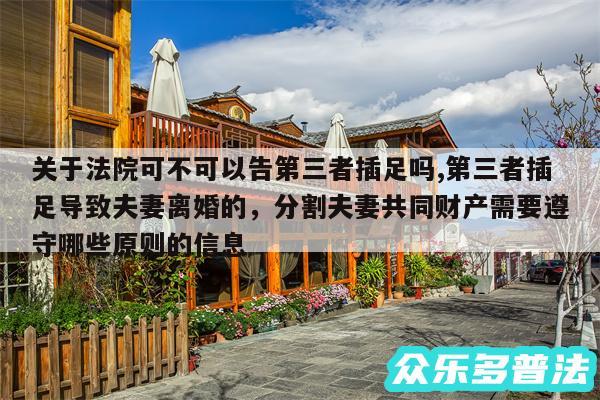 关于法院可不可以告第三者插足吗,第三者插足导致夫妻离婚的,分割夫妻共同财产需要遵守哪些原则的信息
