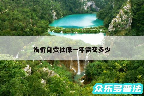 浅析自费社保一年需交多少