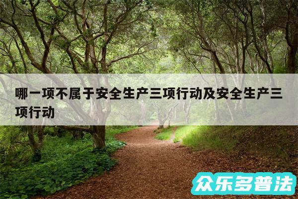 哪一项不属于安全生产三项行动及安全生产三项行动