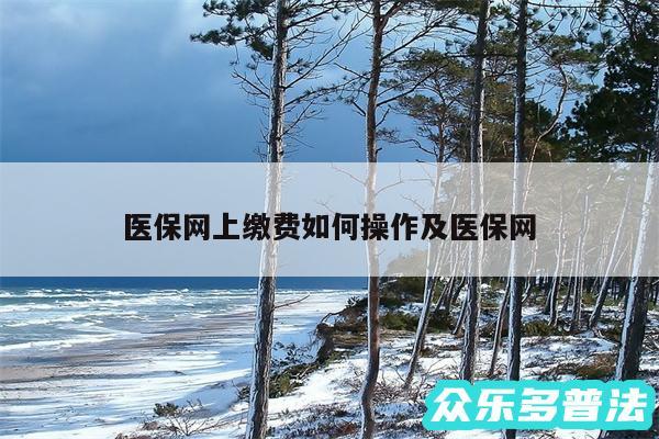 医保网上缴费如何操作及医保网