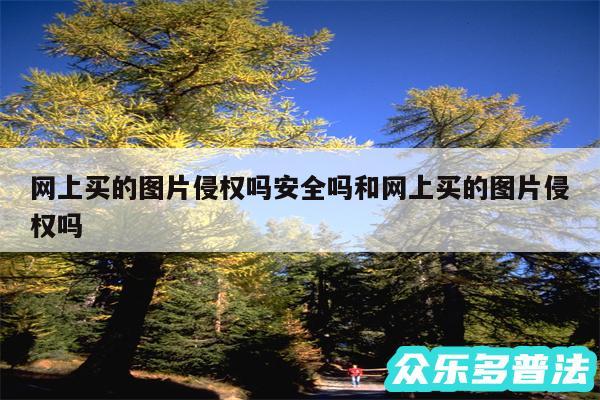 网上买的图片侵权吗安全吗和网上买的图片侵权吗