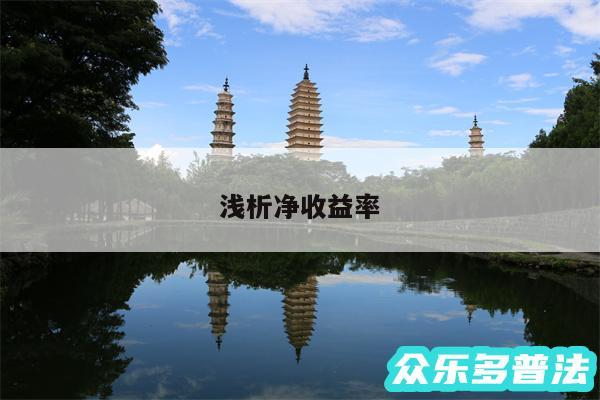 浅析净收益率