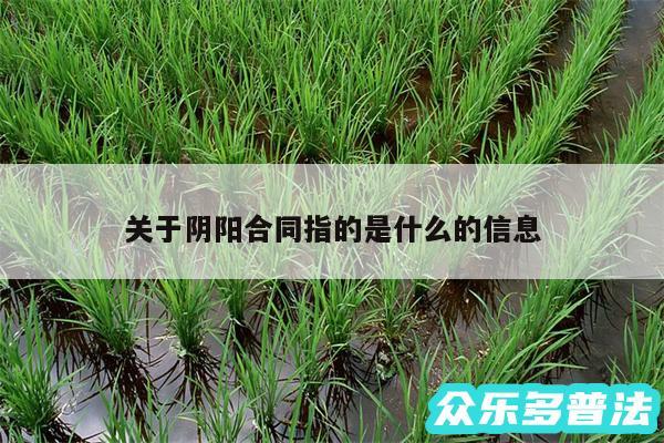 关于阴阳合同指的是什么的信息