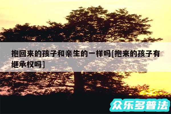 抱回来的孩子和亲生的一样吗及抱来的孩子有继承权吗