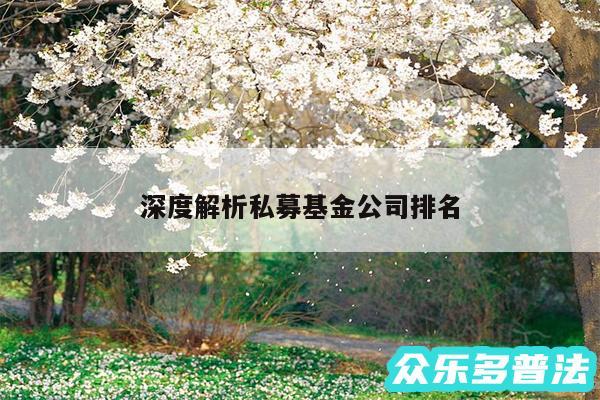 深度解析私募基金公司排名