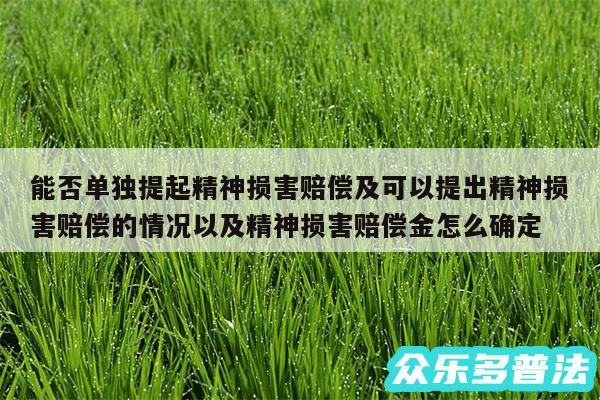 能否单独提起精神损害赔偿及可以提出精神损害赔偿的情况以及精神损害赔偿金怎么确定