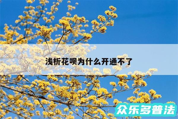 浅析花呗为什么开通不了
