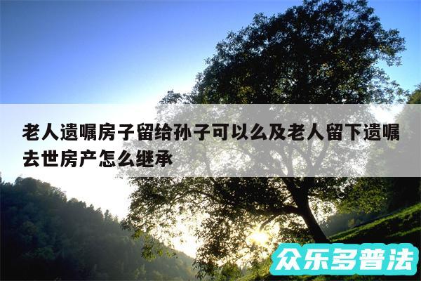 老人遗嘱房子留给孙子可以么及老人留下遗嘱去世房产怎么继承