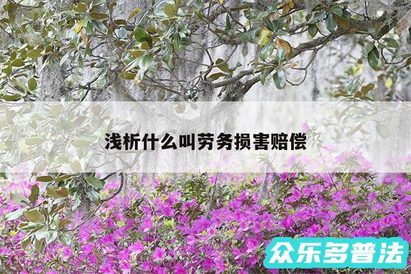 浅析什么叫劳务损害赔偿