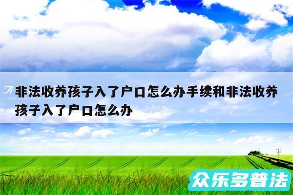 非法收养孩子入了户口怎么办手续和非法收养孩子入了户口怎么办