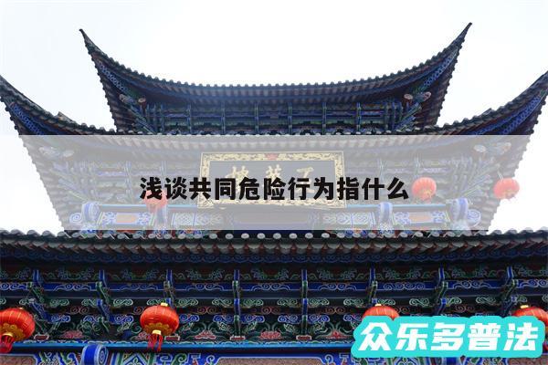 浅谈共同危险行为指什么