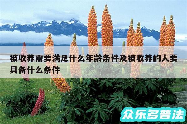 被收养需要满足什么年龄条件及被收养的人要具备什么条件