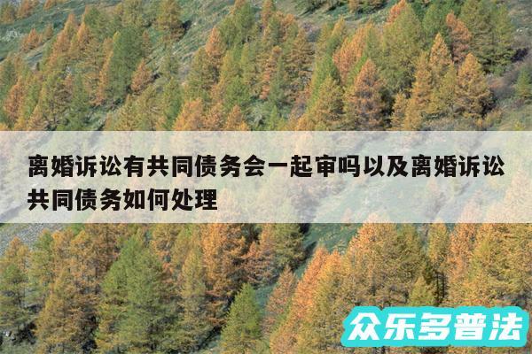 离婚诉讼有共同债务会一起审吗以及离婚诉讼共同债务如何处理