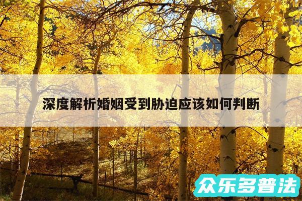 深度解析婚姻受到胁迫应该如何判断