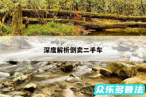 深度解析倒卖二手车